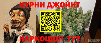 дмт Обь