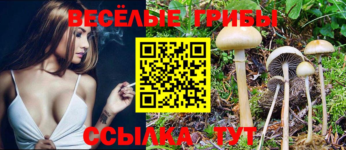 Галлюциногенные грибы Magic Shrooms Трёхгорный