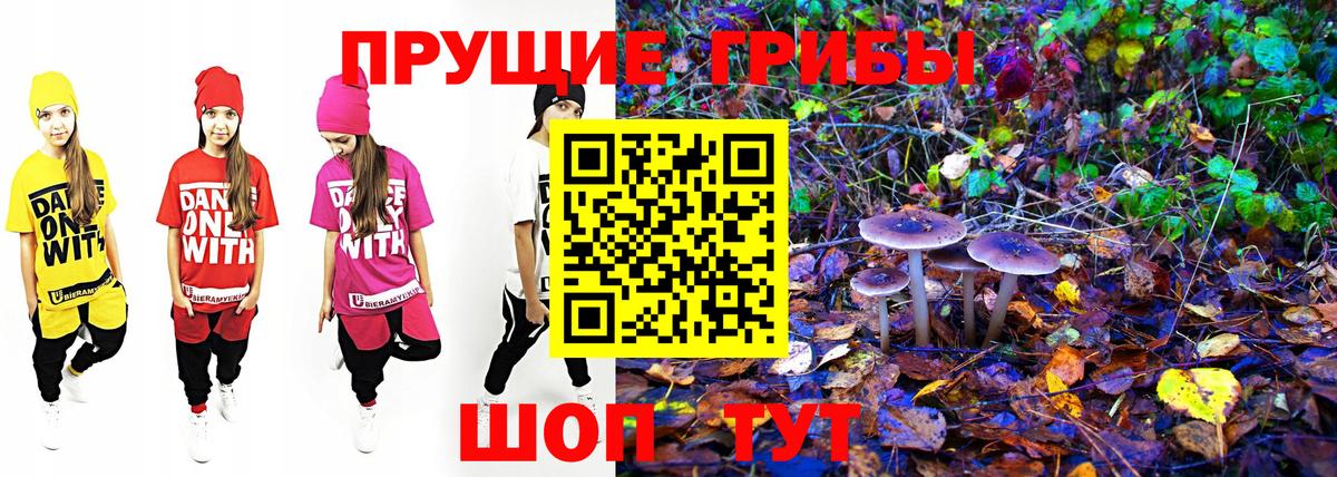 Псилоцибиновые грибы Psilocybe  Вход с VPN  Трёхгорный 